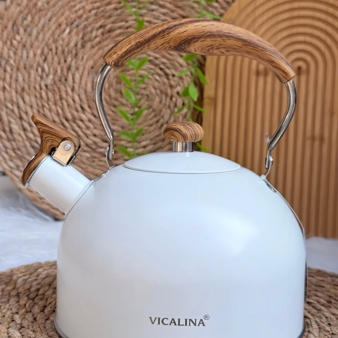 Rettberg Stainless Steel Whistle Kettle Induction Cooker Universal Kettle Whistle Kettle 3 Liter