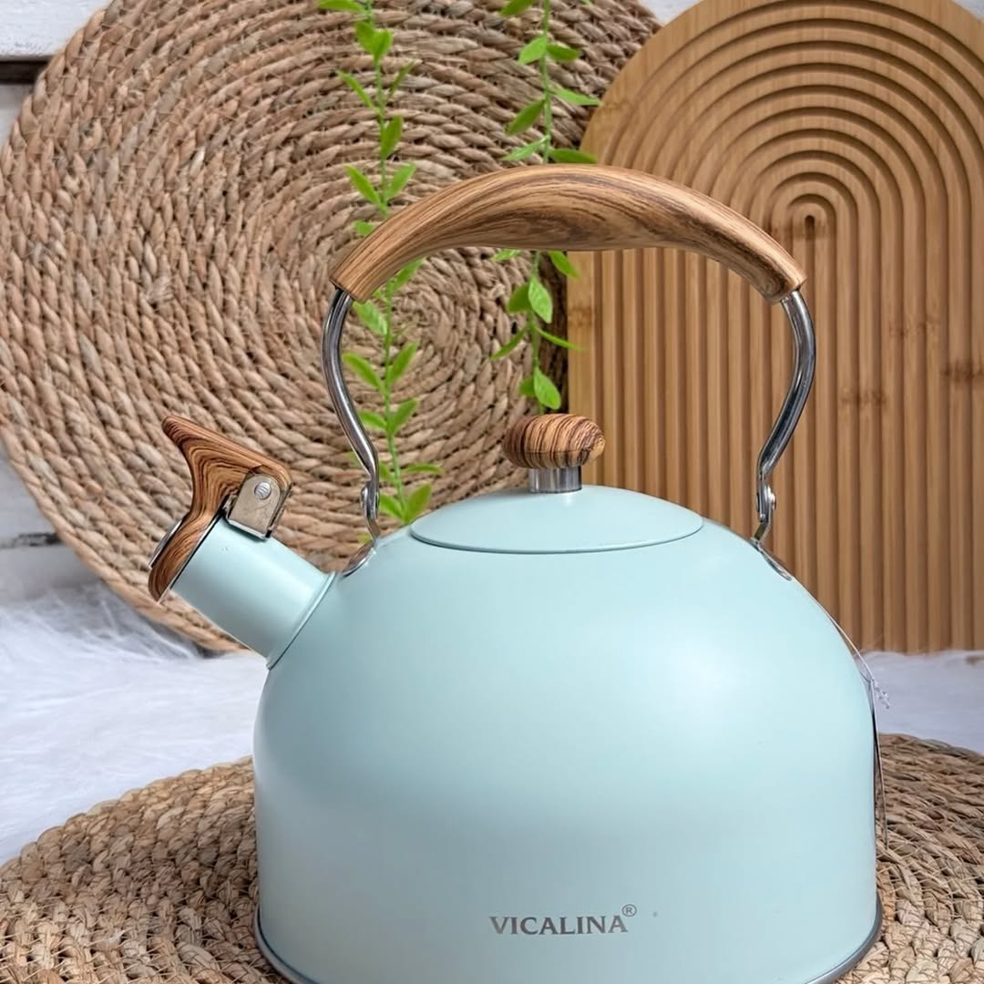 Rettberg Stainless Steel Whistle Kettle Induction Cooker Universal Kettle Whistle Kettle 3 Liter