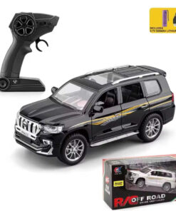 1:24 RC Diecast alloy model with remote control all door Openable ligh
