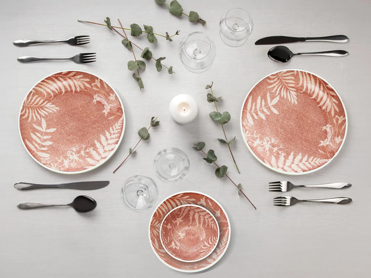 Elegant Set of 24 plates Elegant Set of 24 plates
