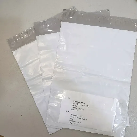 Courier Flyer Bags with Pocket - 100 Peaces - 8x12 Inches