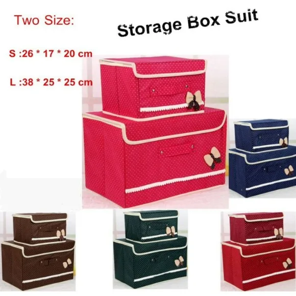Foldable Storage Box Suit Set of 2