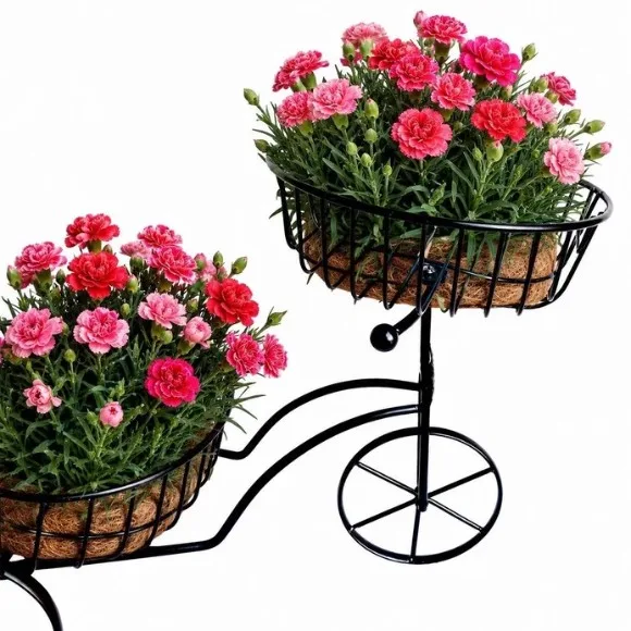 Multifunctional Tricycle-Shaped Plant Pot Holder Countertop Organizer