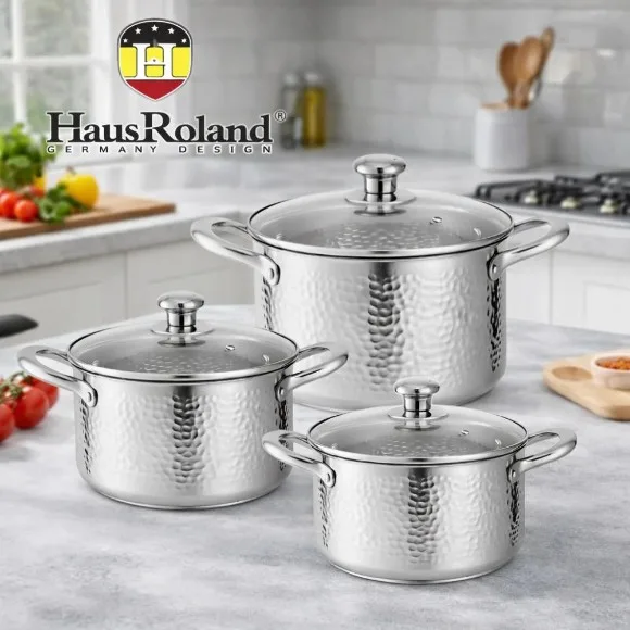 Stainless steel pot set from Haus Roland with lids