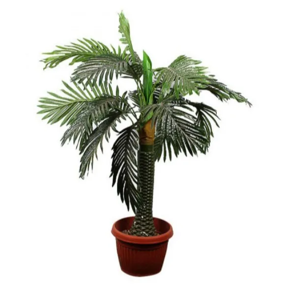 The Florist FLOR15 - Small Bottle Rubber Palm Plant with Antique Base