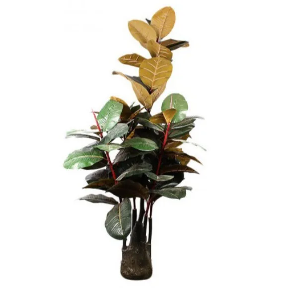 The Florist FLOR22 - Five Branches Rubber Plant