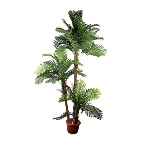 The Florist FLOR23 - Rubber Coconut Chaal Plant