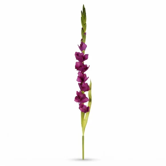 The Florist Living Room Center Table Rubber Stick Flower Arrangement - 083