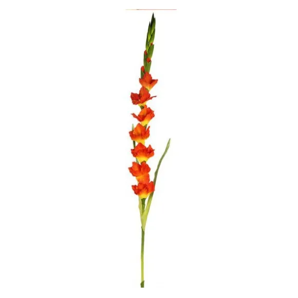 The Florist Living Room Center Table Rubber Stick Flower Arrangement - 084