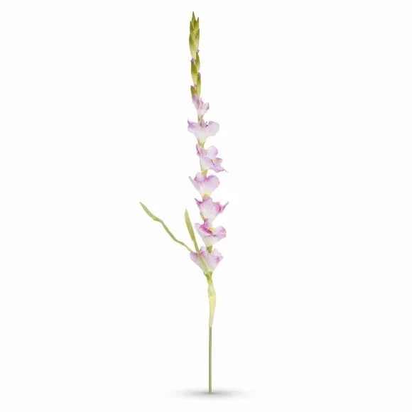 The Florist Living Room Center Table Rubber Stick Flower Arrangement - 085