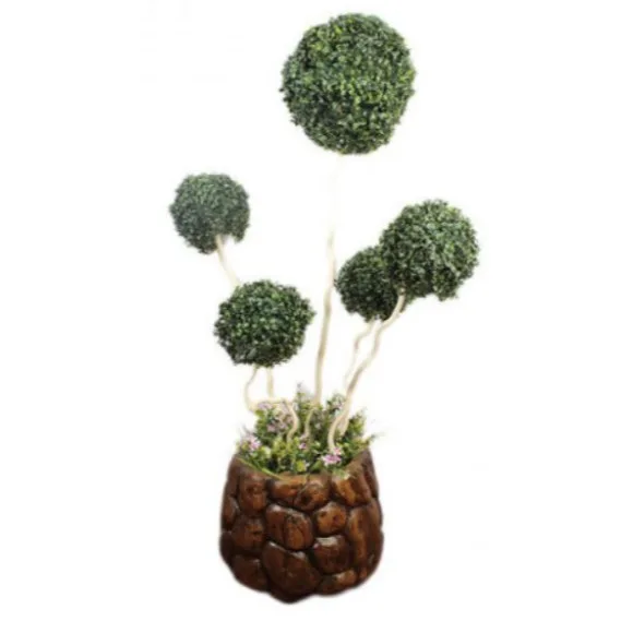 The Florist Luxury Artificial Imported Bonsai Ball Rubber Tree with Fiber Base